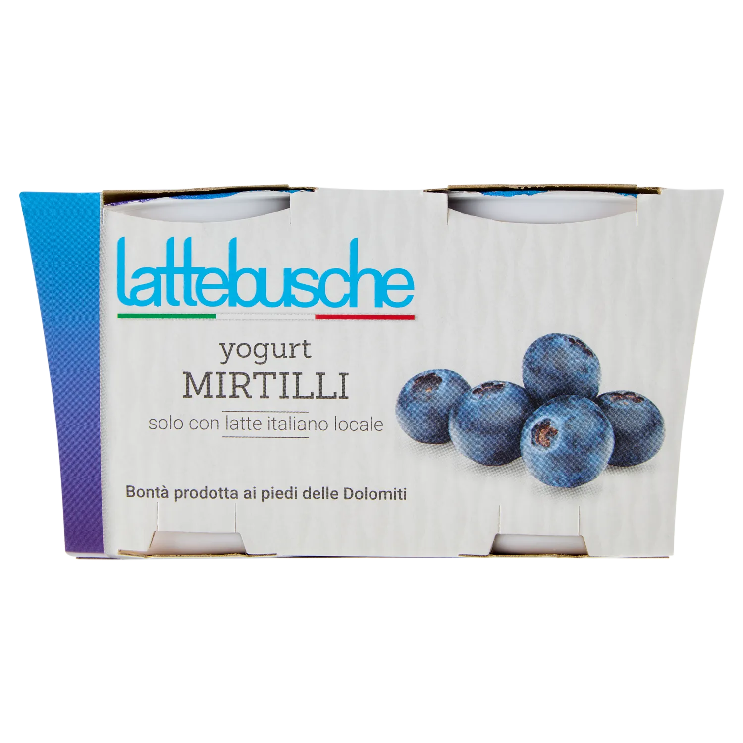 YOGURT LATTEBUSCHE INTERO MIRTILLO GR 125 X 2 X