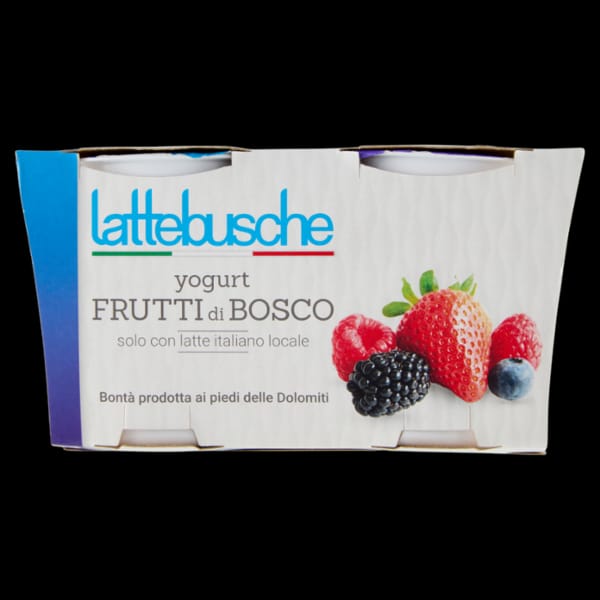 Yogurt Lattebusche Intero Frutti di Bosco gr 125 x 2